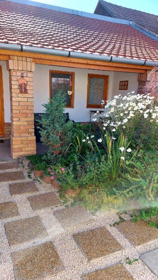 Mandula Apartman Szeged Exteriör bild